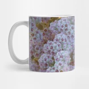 White and Pink Australian Wildflowers Mug